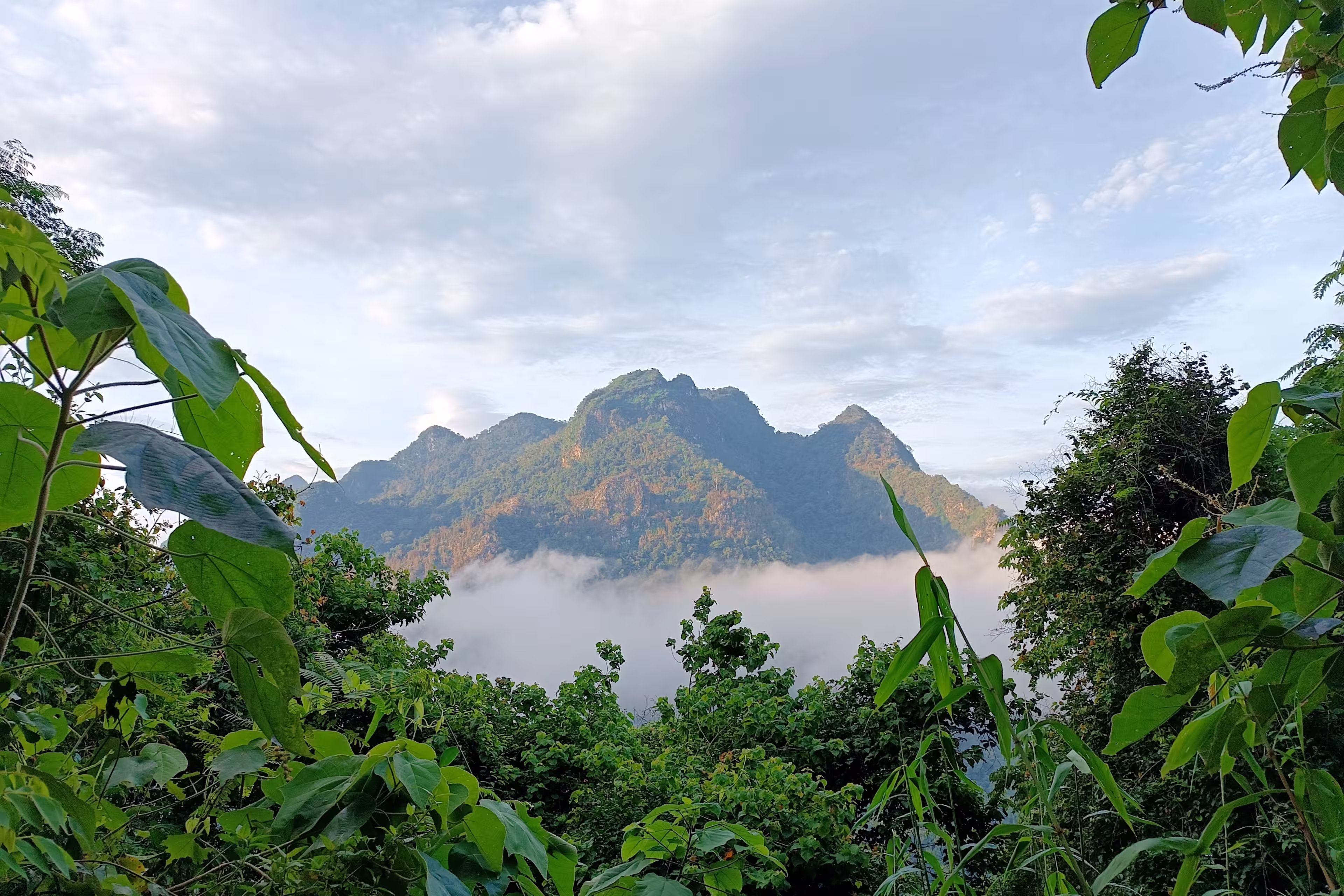 Muang Ngoi is a Laos town alonh the Mam Ou in Luangprabang province. North -East of Luangprabang.