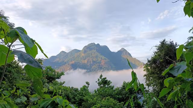 Muang Ngoi is a Laos town alonh the Mam Ou in Luangprabang province. North -East of Luangprabang.
