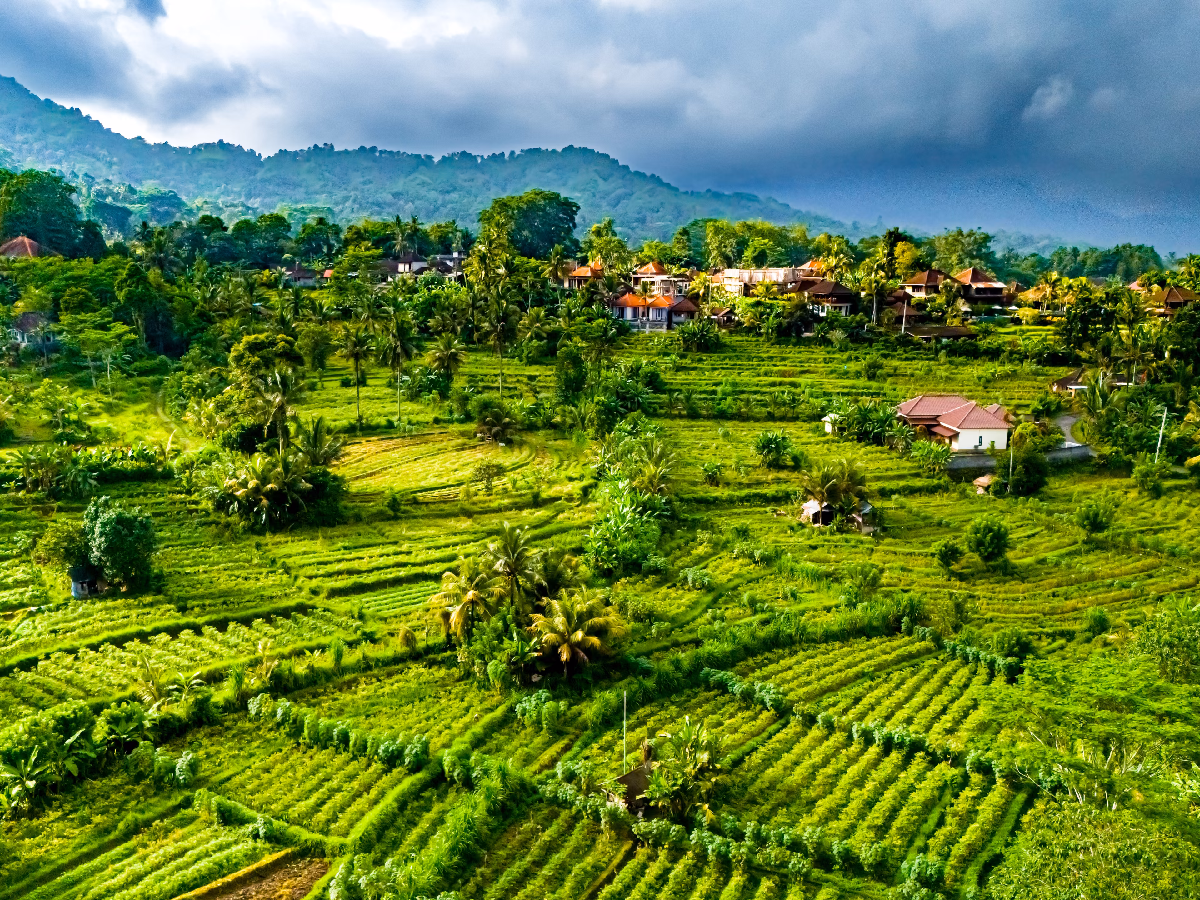 Indonesien - Bali pur: aktiv und relaxed