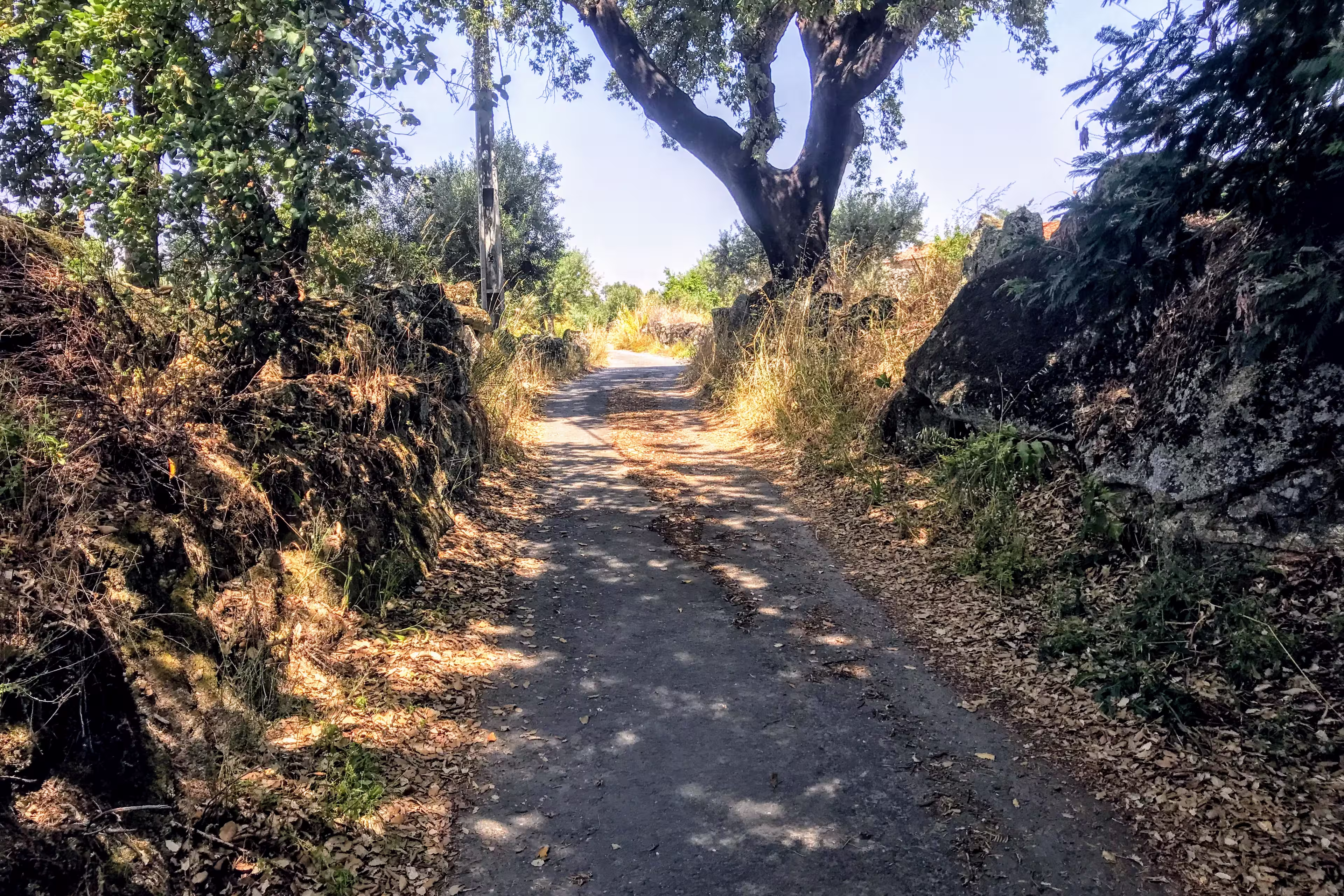 Portugal - Historische Dörfer & Douro-Tal mit Gravel-Bike erkunden