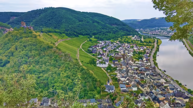 Mosel Fluss und Burg Thurant