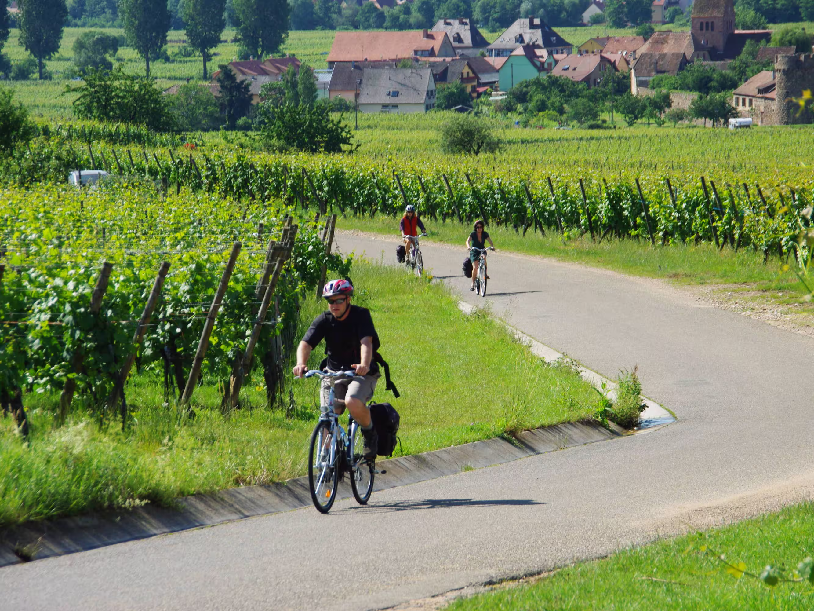 Radfahren Elsass