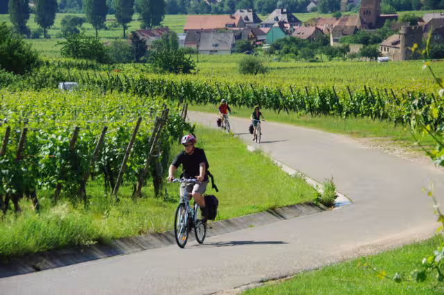 Radfahren Elsass