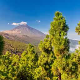 Volcano Teide - view from Mirador La Crucita (Tenerife, Canary Islands)