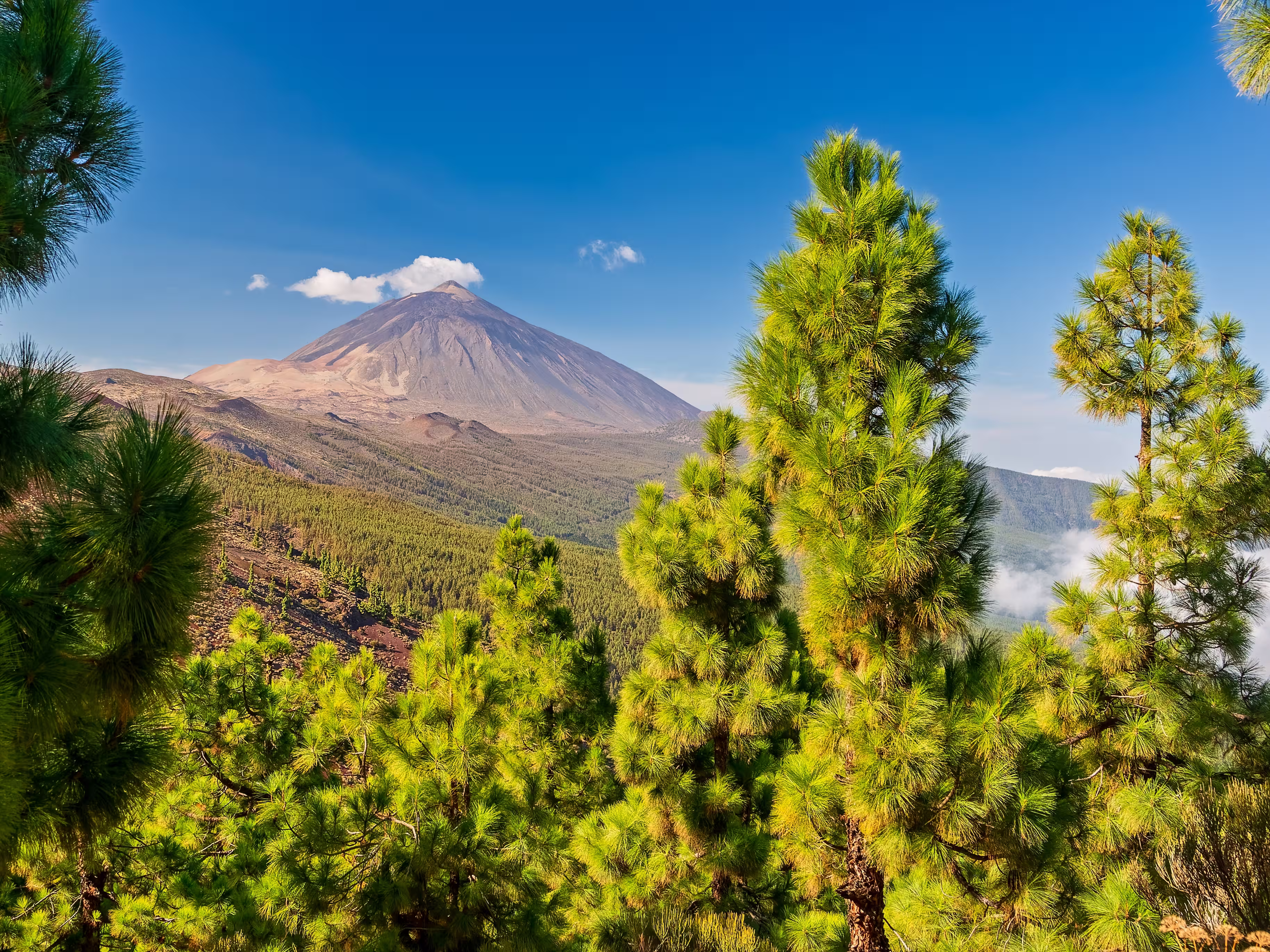 Volcano Teide - view from Mirador La Crucita (Tenerife, Canary Islands)