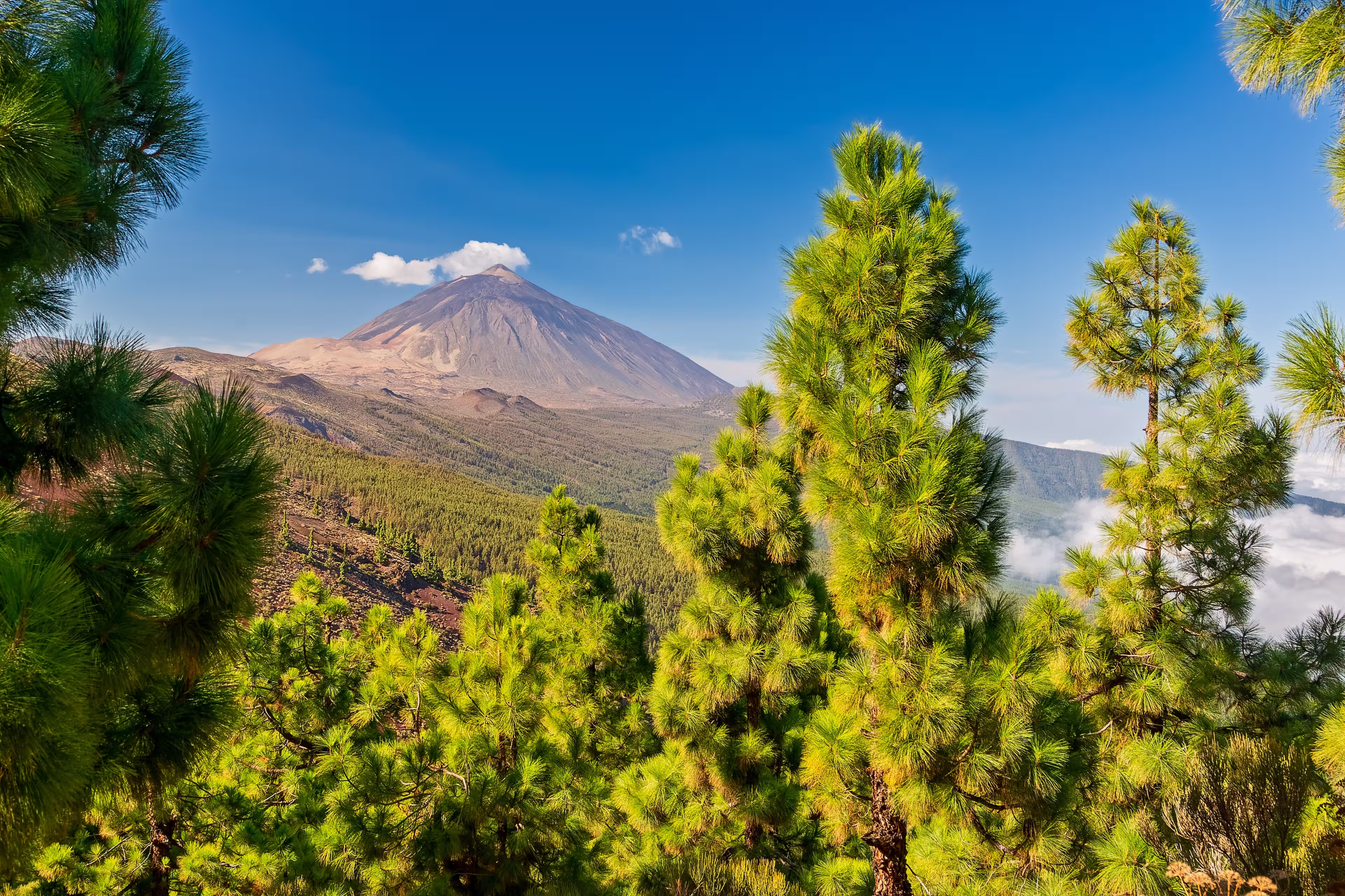 Volcano Teide - view from Mirador La Crucita (Tenerife, Canary Islands)