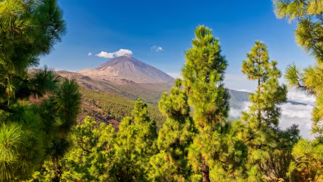 Volcano Teide - view from Mirador La Crucita (Tenerife, Canary Islands)