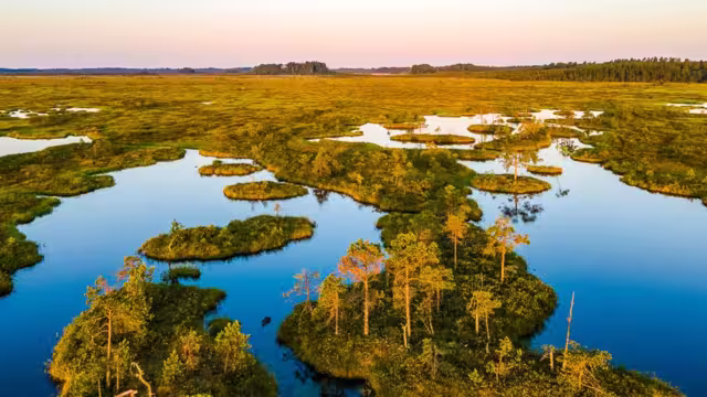 Moorseen im Soomaa Nationalpark