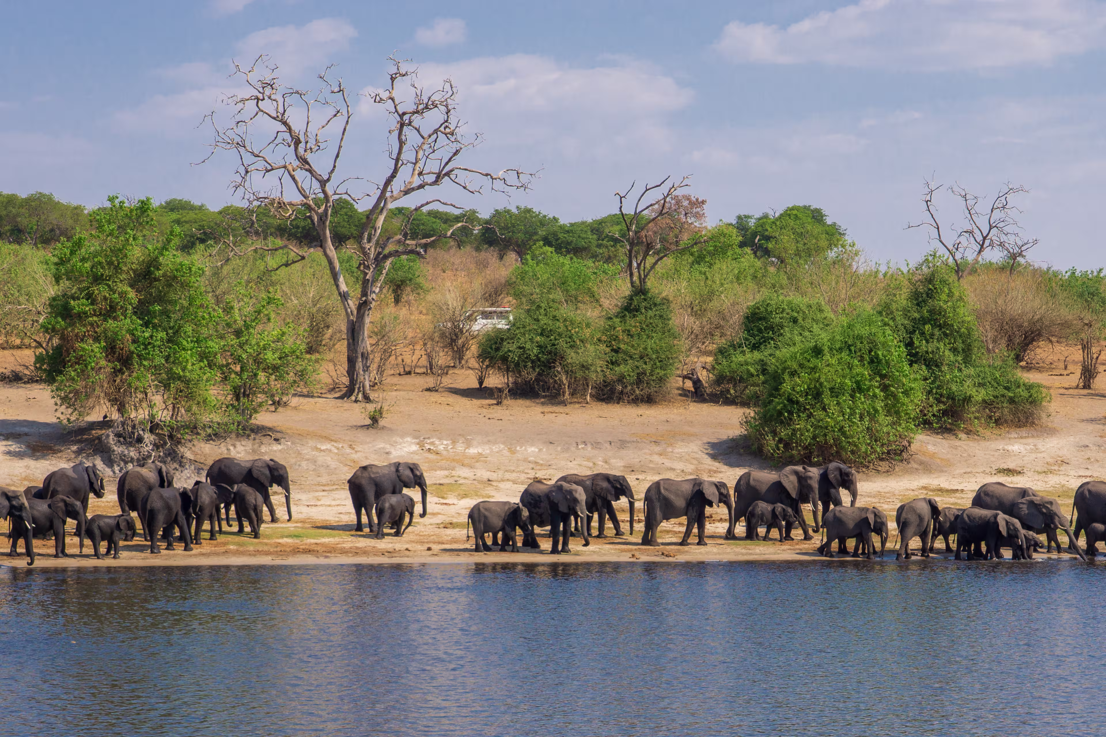 Botswanas Highlights Erleben mit Simbabwe und Namibia
