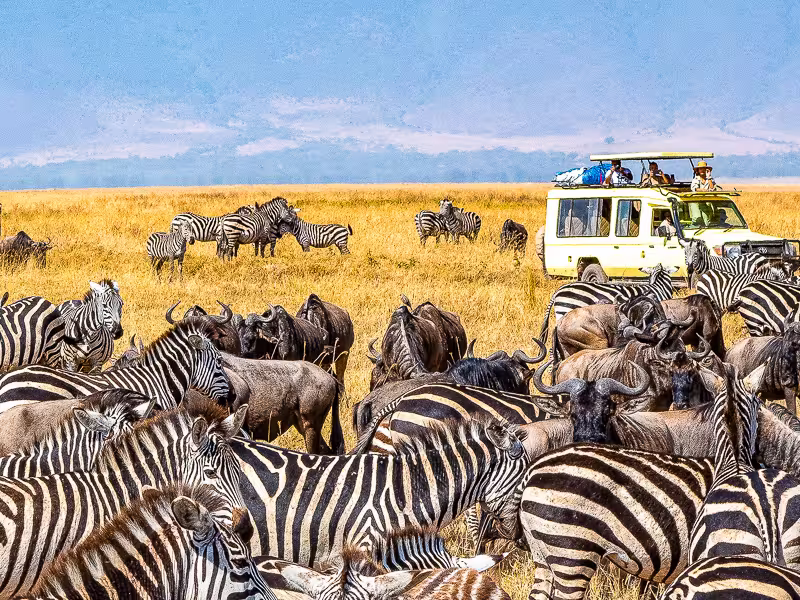 Kundenbilder Tansania-Reise Serengeti