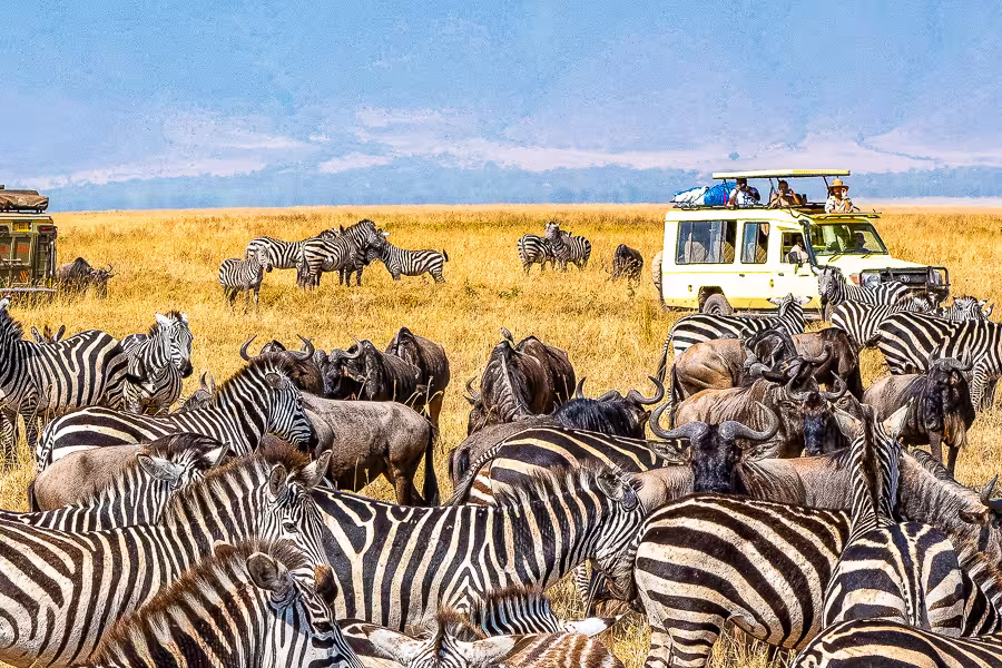 Kundenbilder Tansania-Reise Serengeti
