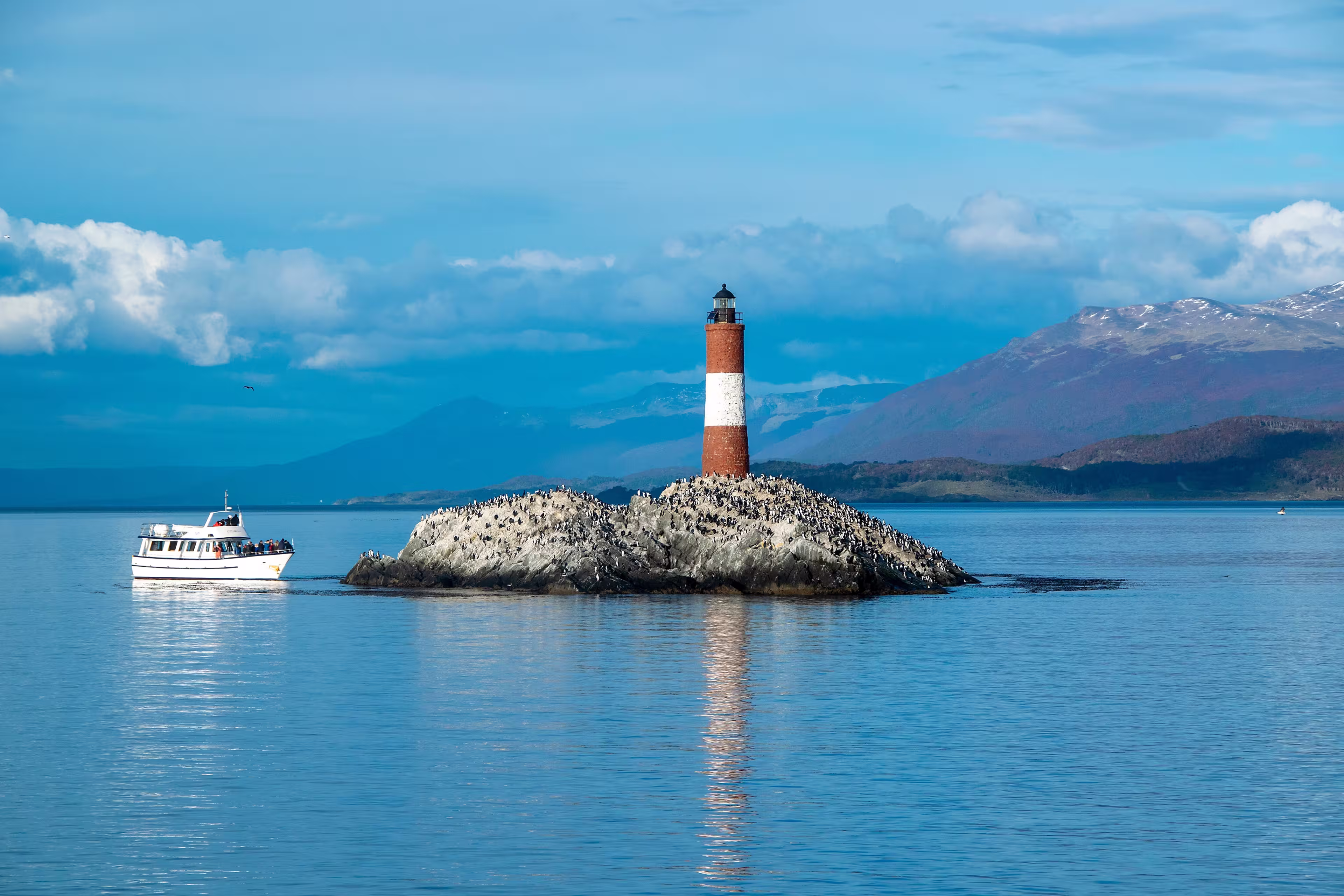 King cormorants colony at famous les eclaireurs lighthouse, ushuaia, argentina tierra del fuego, argentina