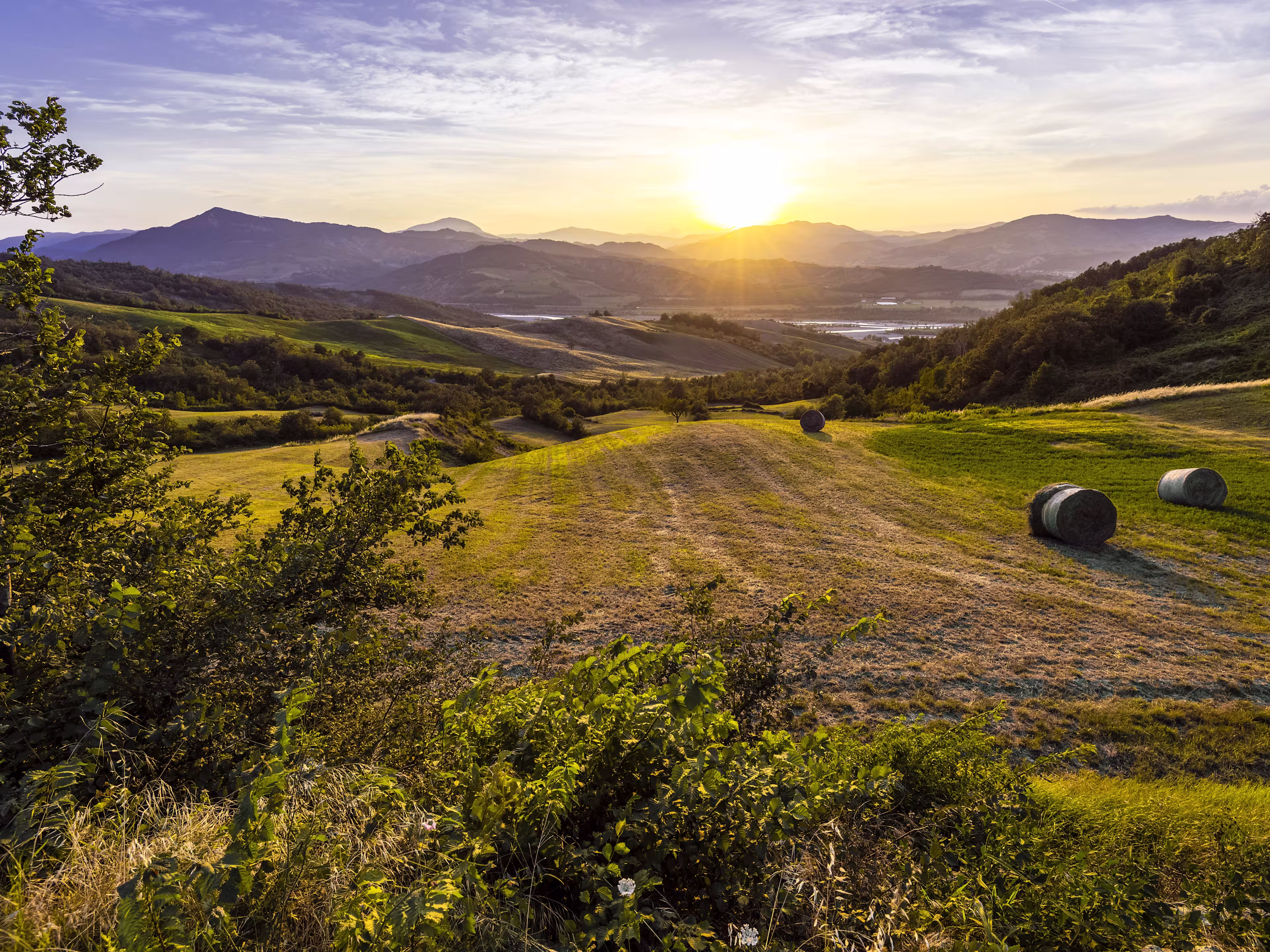 Country landscape