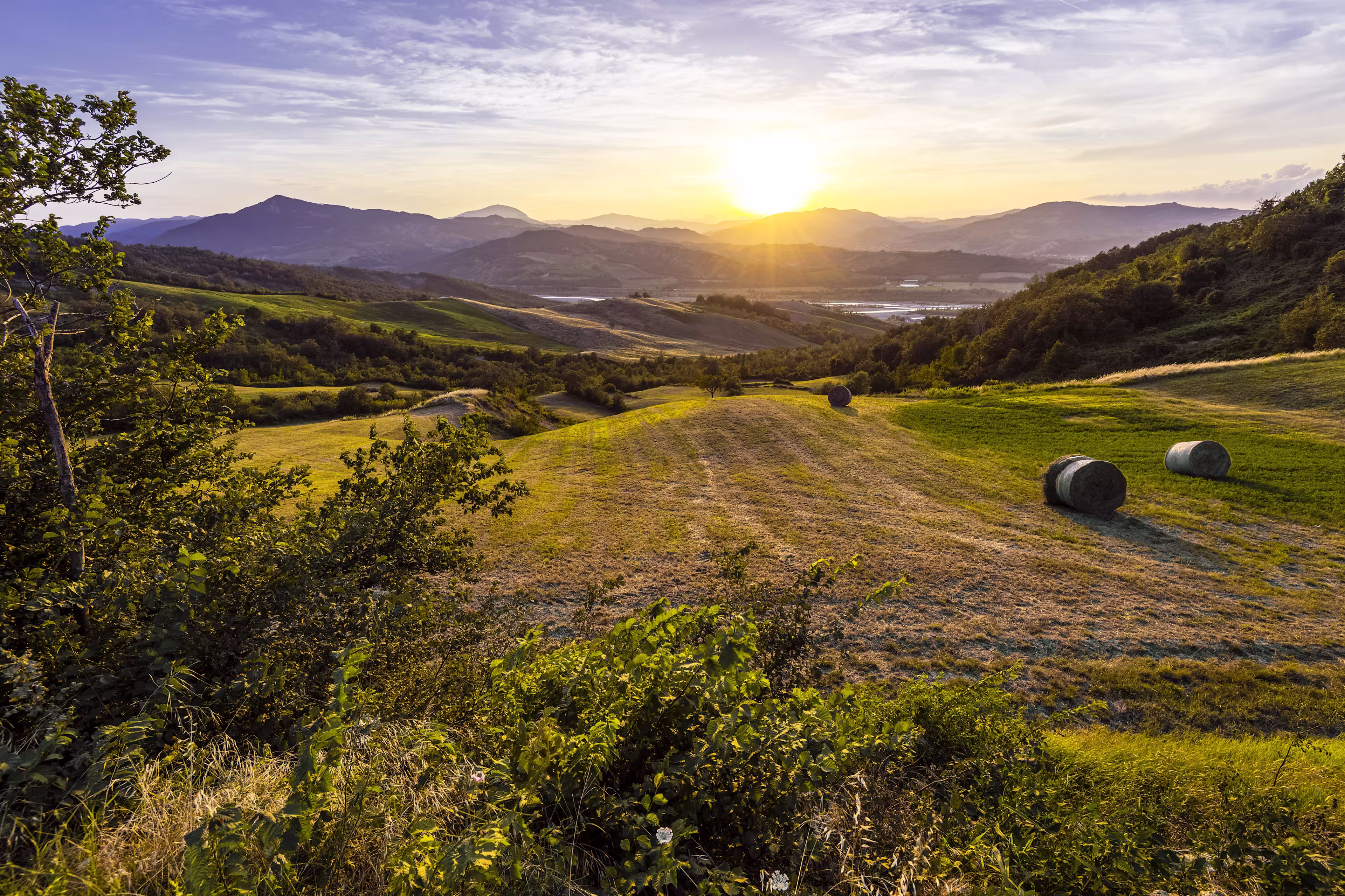 Country landscape
