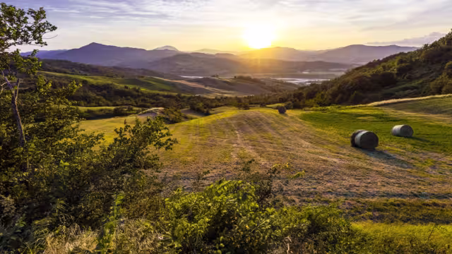 Country landscape