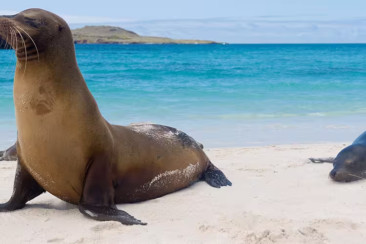 Galapagos Island Hopping - 1