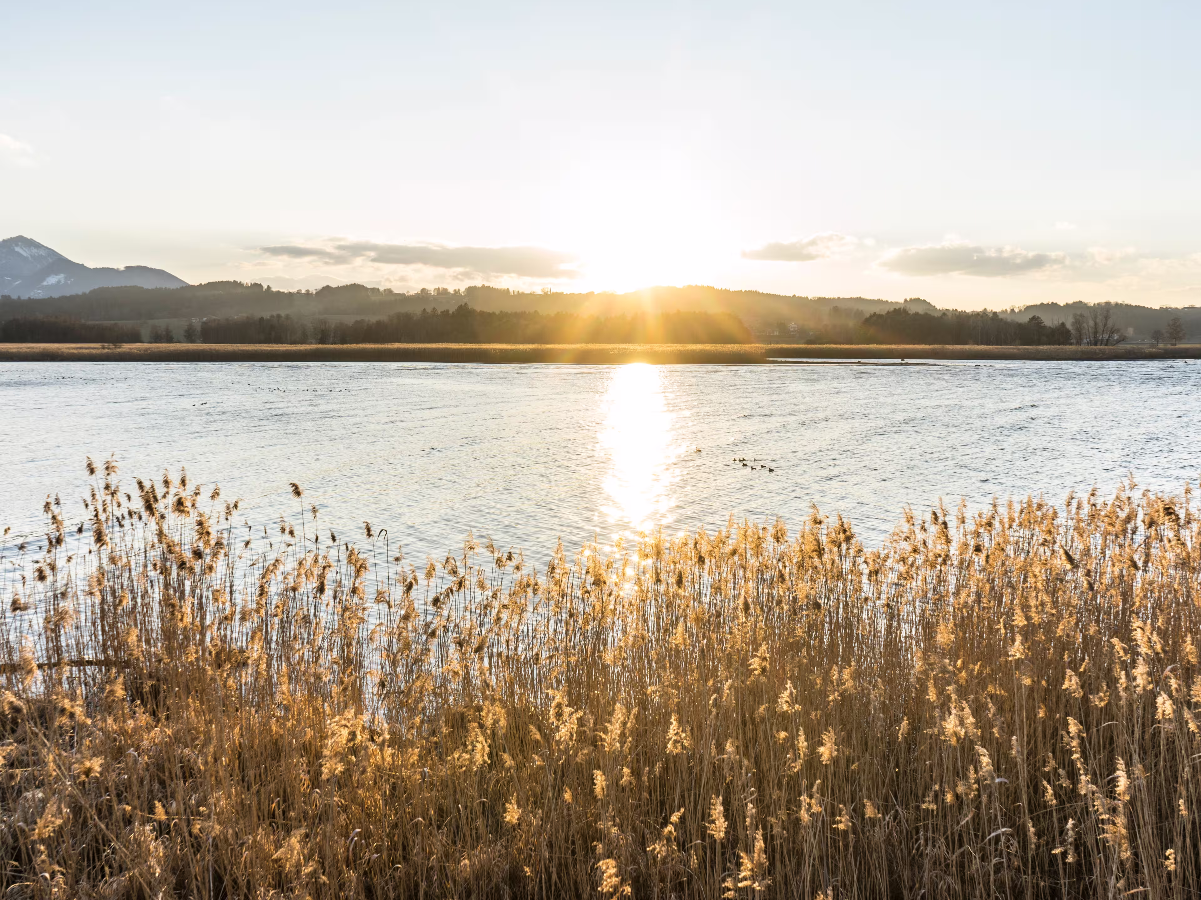 Sunset at Lake Chiemsee in early spring, Bernau, Bavaria, Germany.