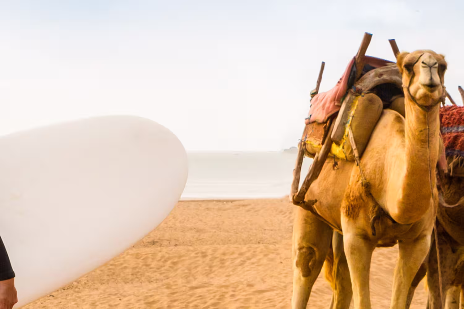 18 to 35s Five Days in Morocco - 1