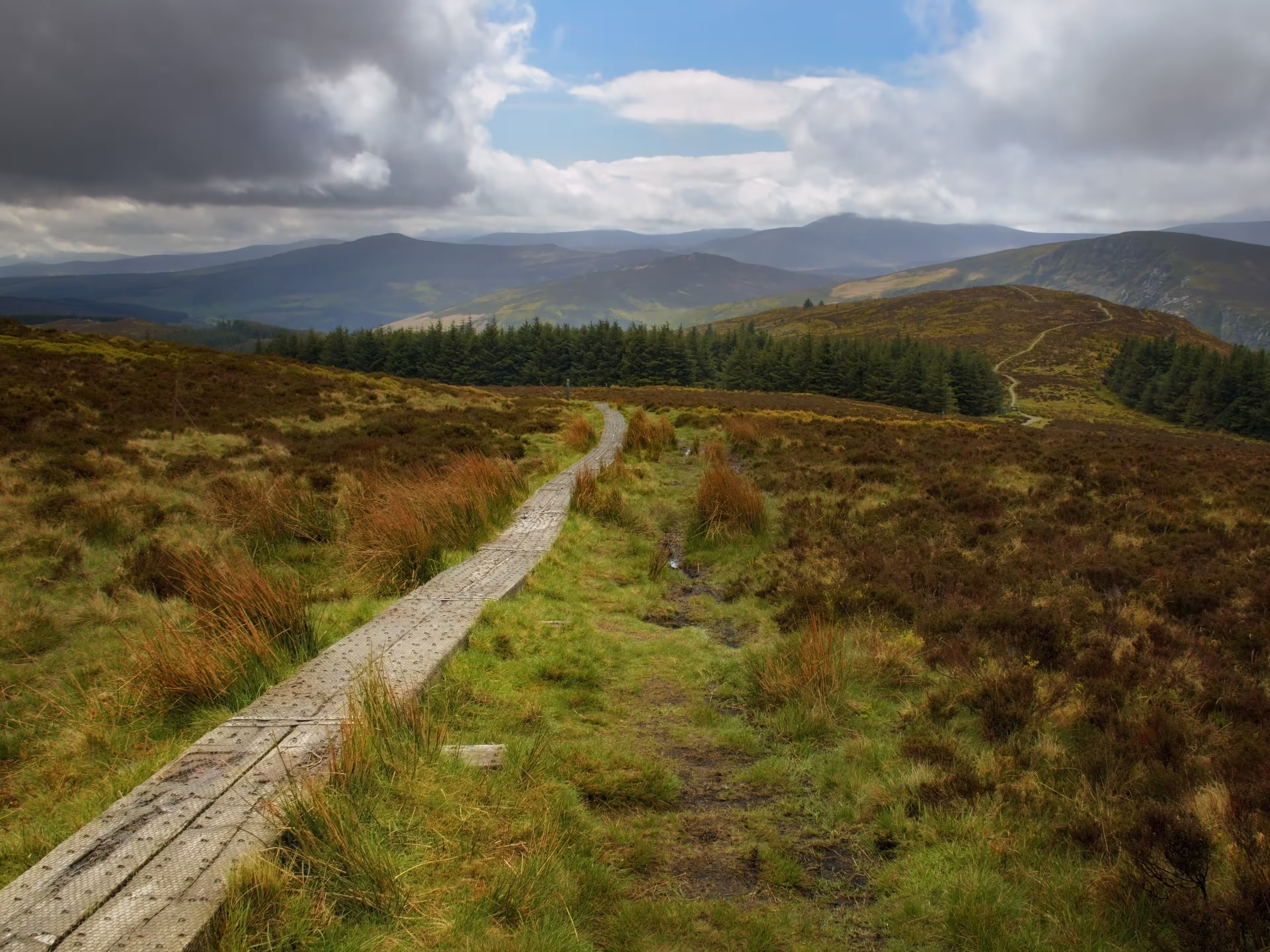 Wicklow way