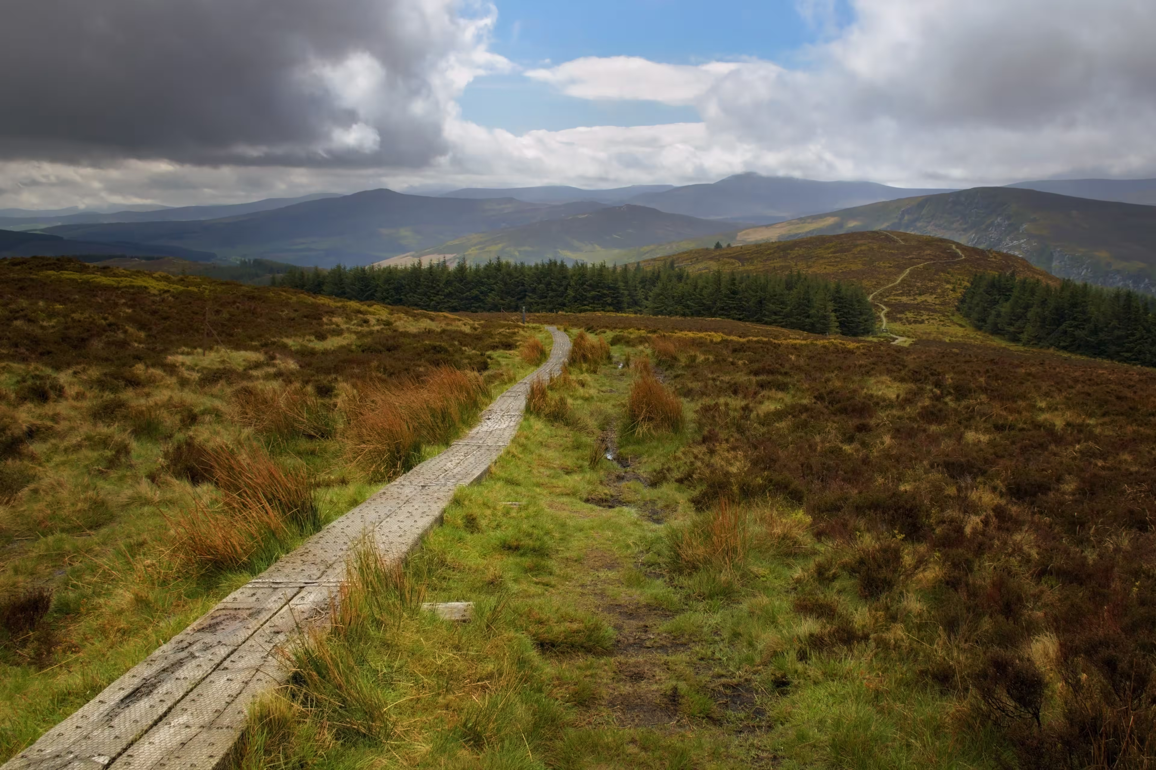 Wicklow way