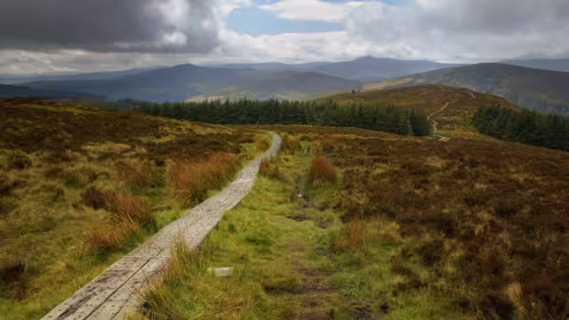 Wicklow way