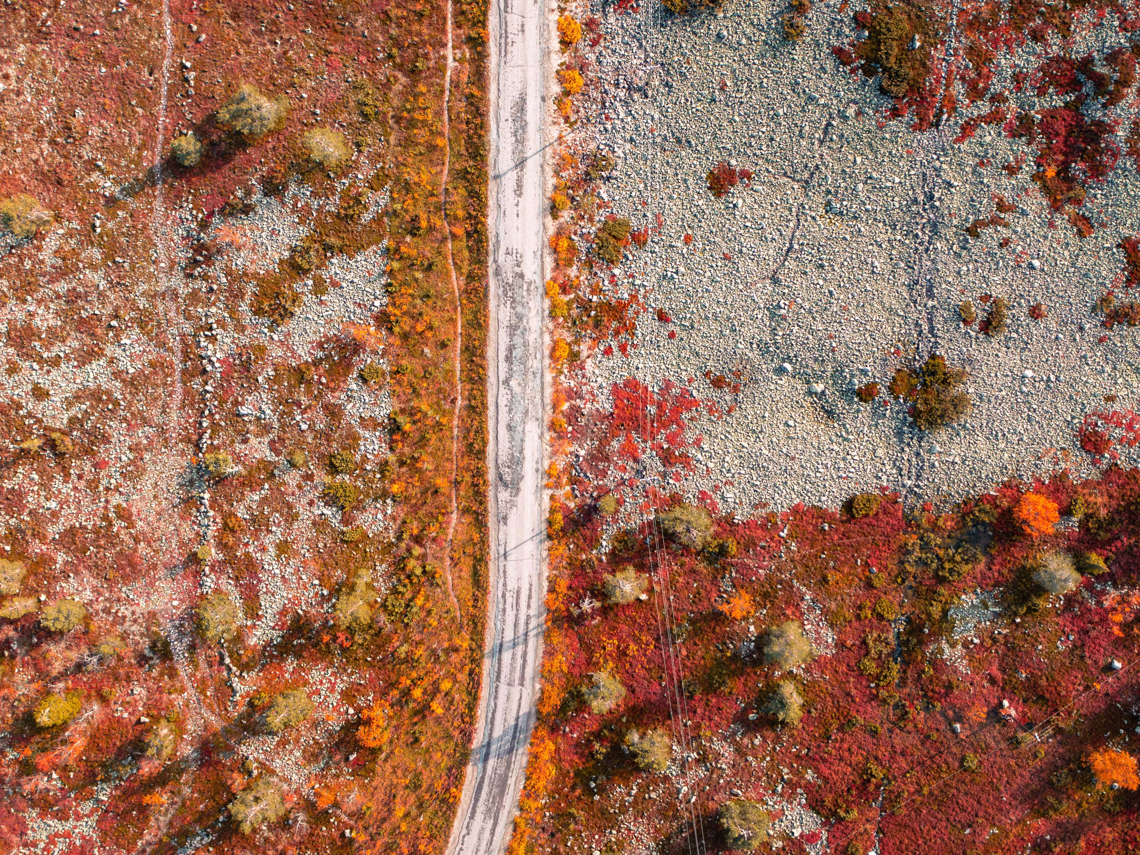 Aerial view of a road, fall colored trees and vivid red and orange nature in Levi fell, Kittilä, Finland