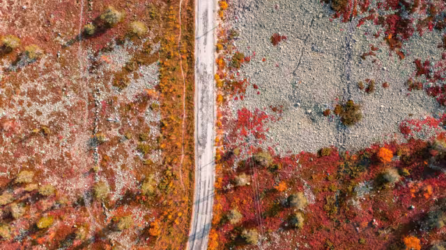 Aerial view of a road, fall colored trees and vivid red and orange nature in Levi fell, Kittilä, Finland