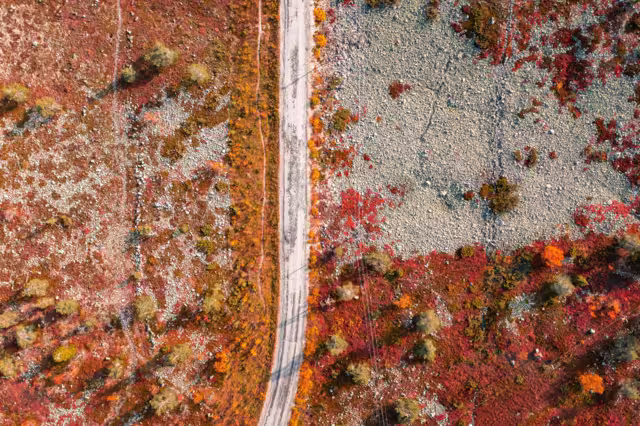 Aerial view of a road, fall colored trees and vivid red and orange nature in Levi fell, Kittilä, Finland