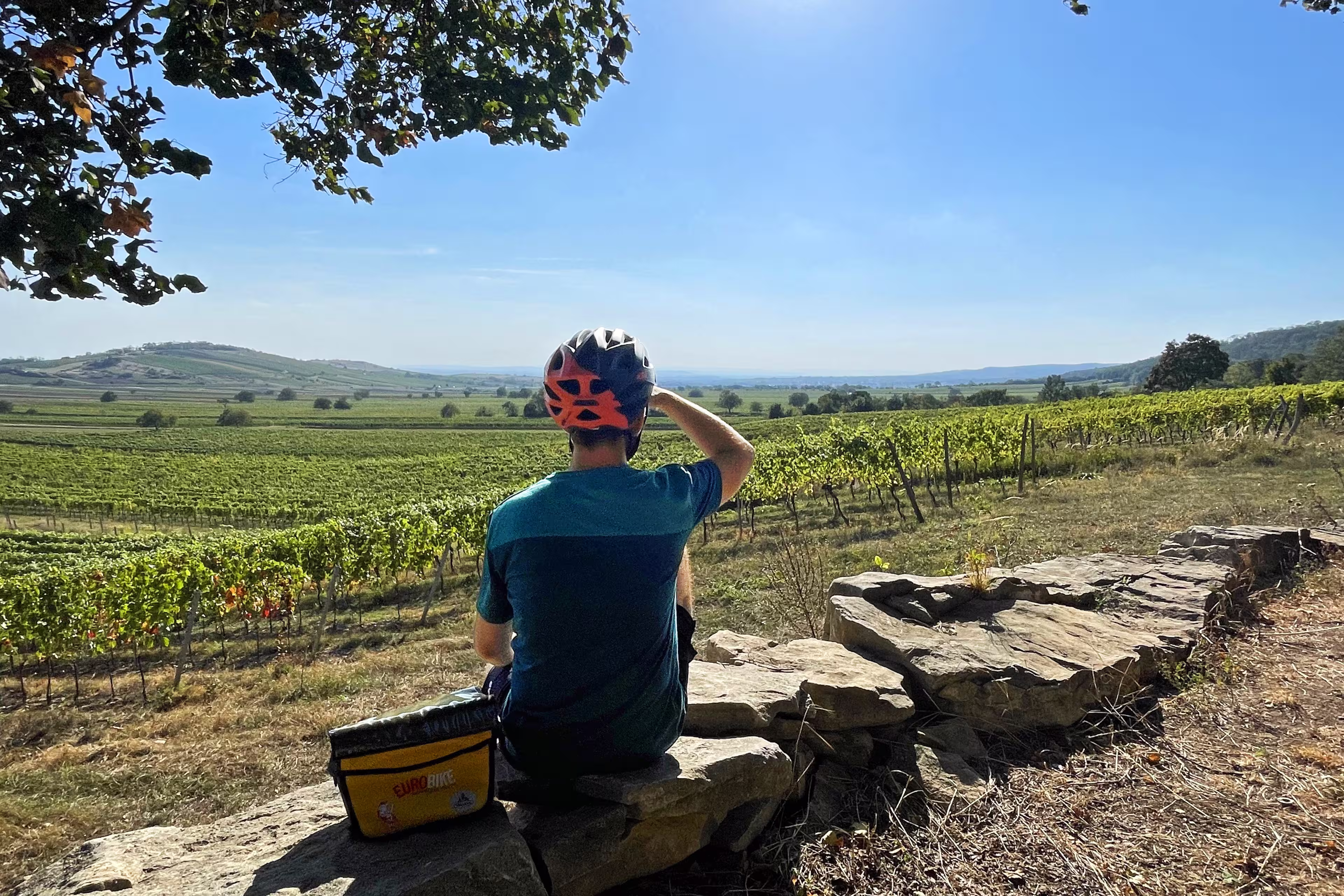 Neusiedlersee Rundfahrt - Wein und mehr im Dreiländereck