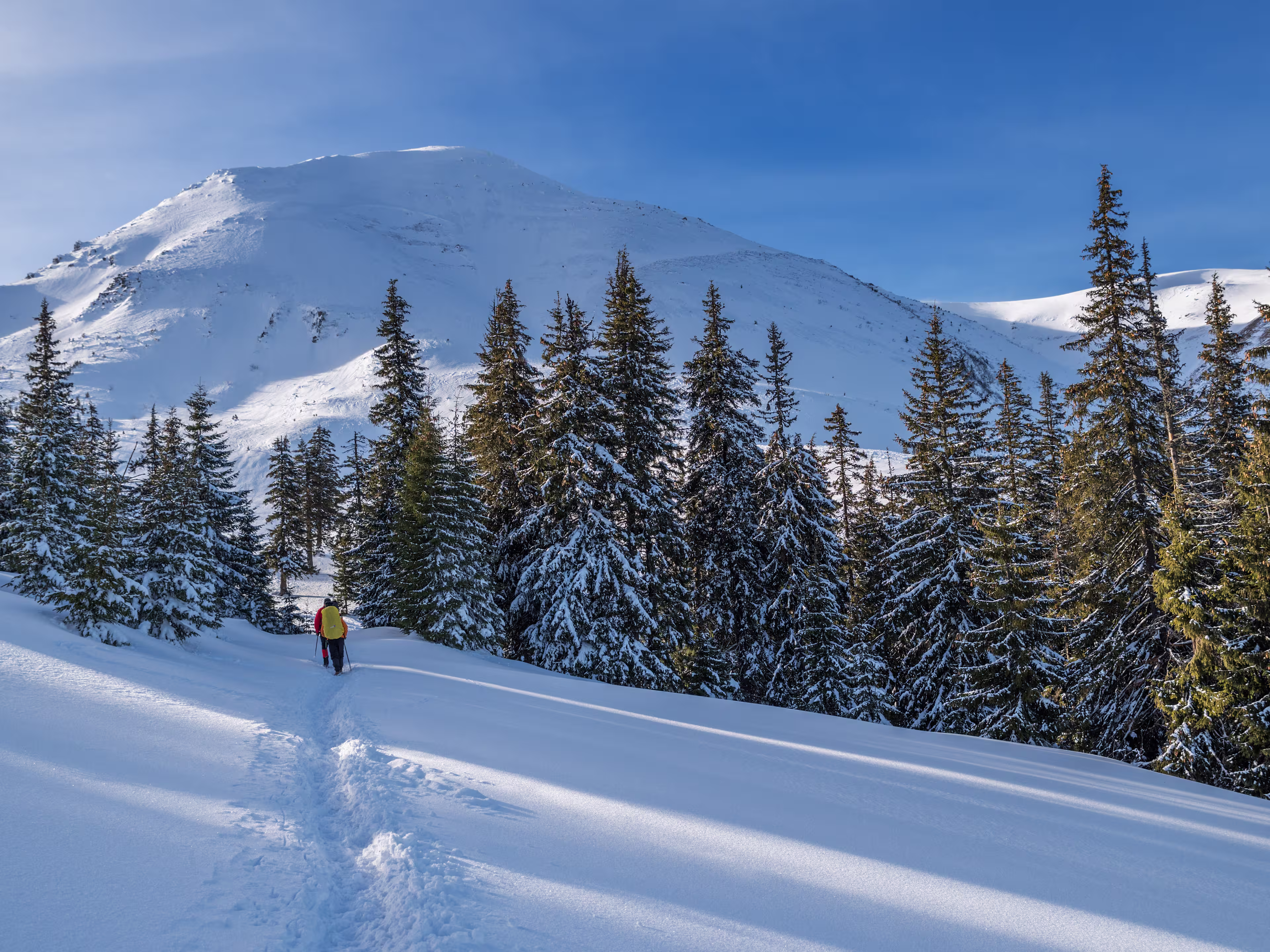 Winter hiking. Tourists are hiking in the snow-covered mountains. Beautiful winter landscape in the mountains.