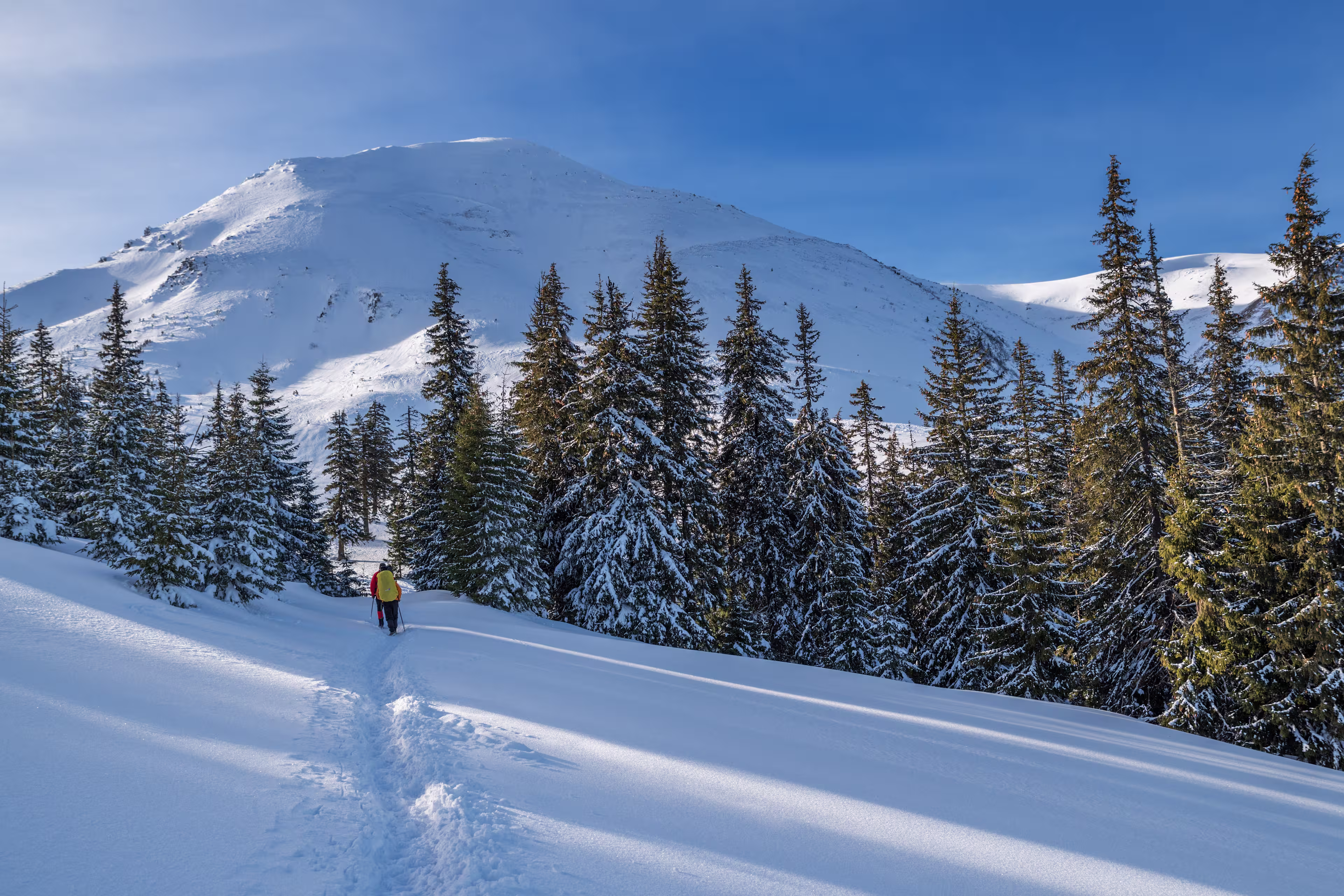 Winter hiking. Tourists are hiking in the snow-covered mountains. Beautiful winter landscape in the mountains.