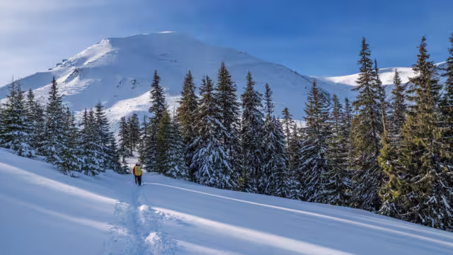 Winter hiking. Tourists are hiking in the snow-covered mountains. Beautiful winter landscape in the mountains.