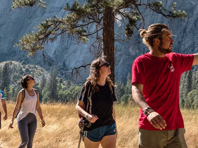 Group of travellers hiking in Yosemite NP with local guide