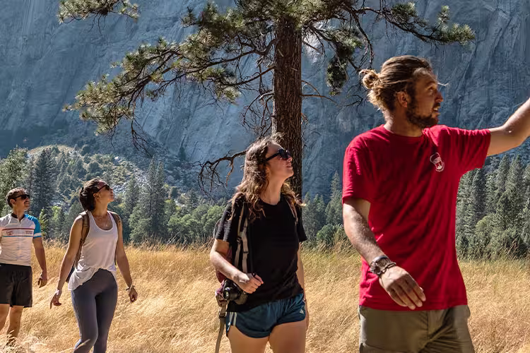 Hiking in Yosemite National Park - 1