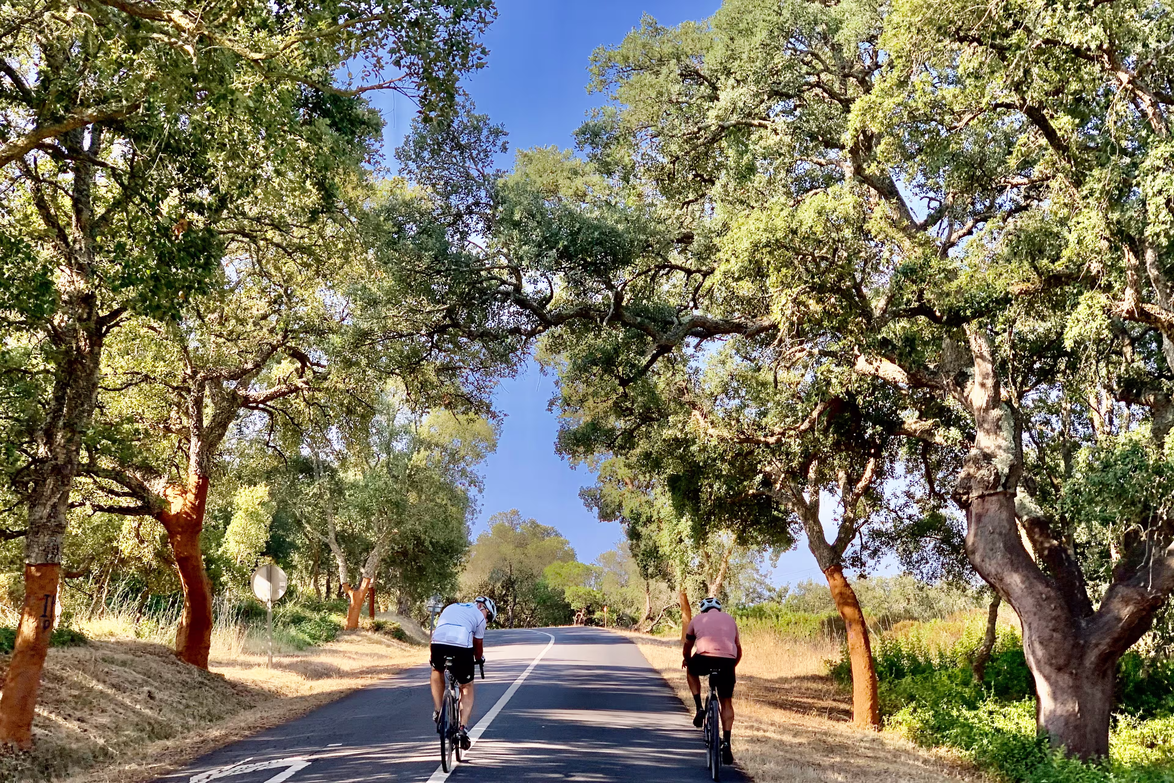 Portugal - Wildküste mit Gravel Bike erkunden
