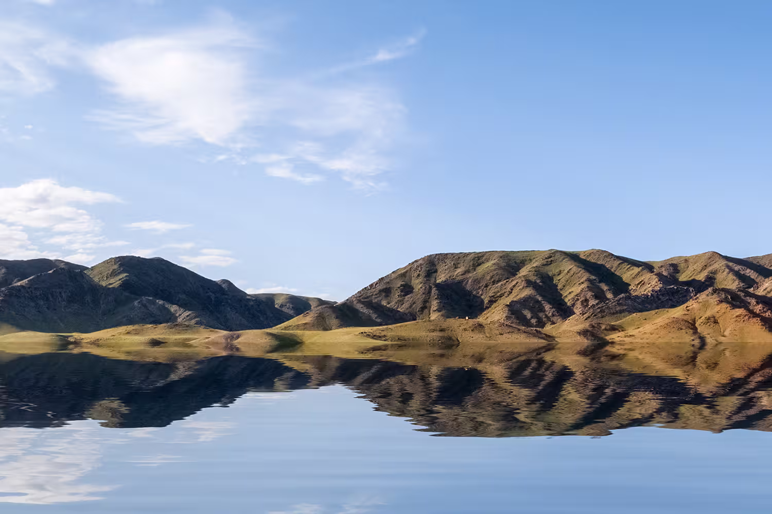 Wild Mongolia - 1