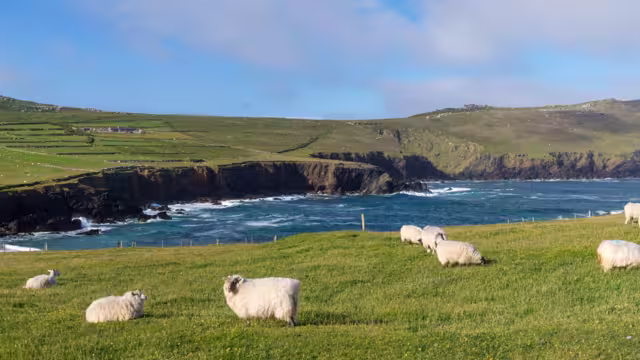Dingle Way