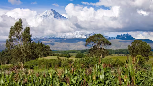 Avenue Of The Volcanos, Cotopaxi National Park, Ecuador