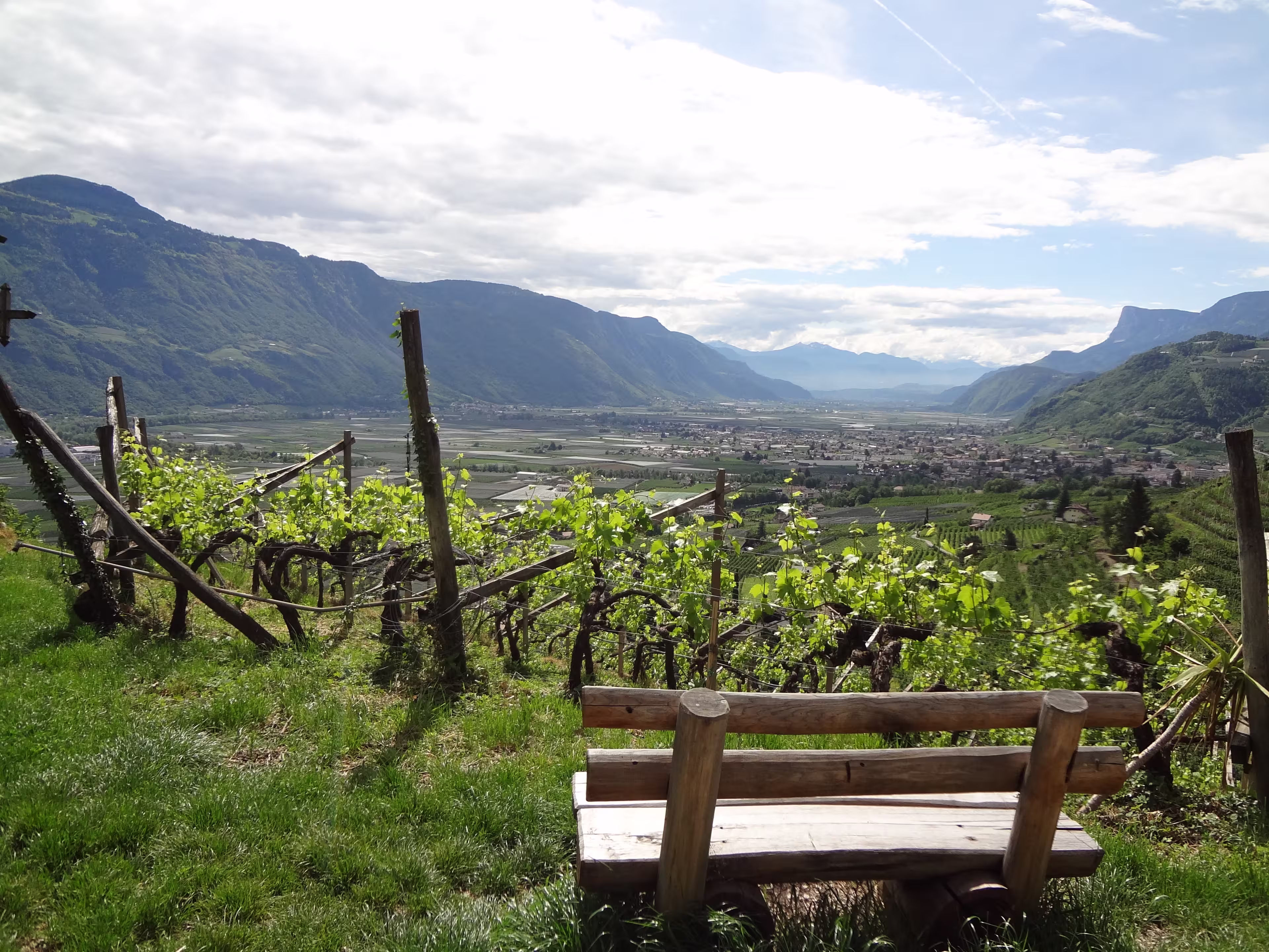 Italien Weinstrasse Bank