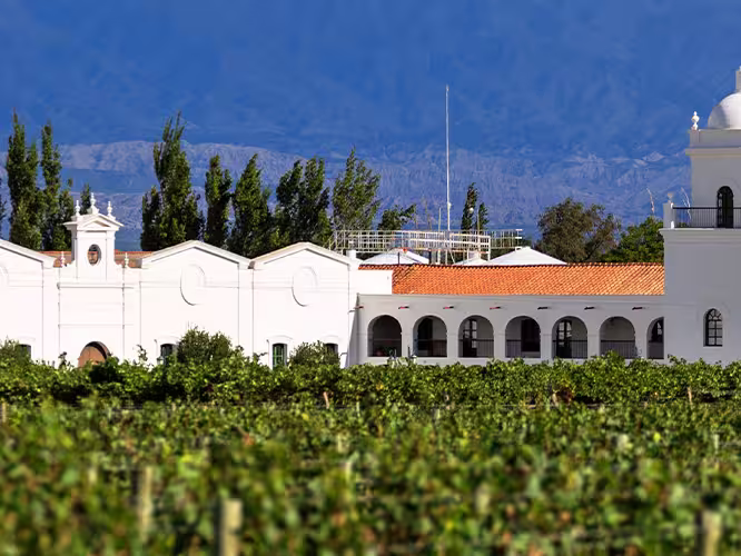 GGPC - View of Mendoza vineyard and winery in Argentina