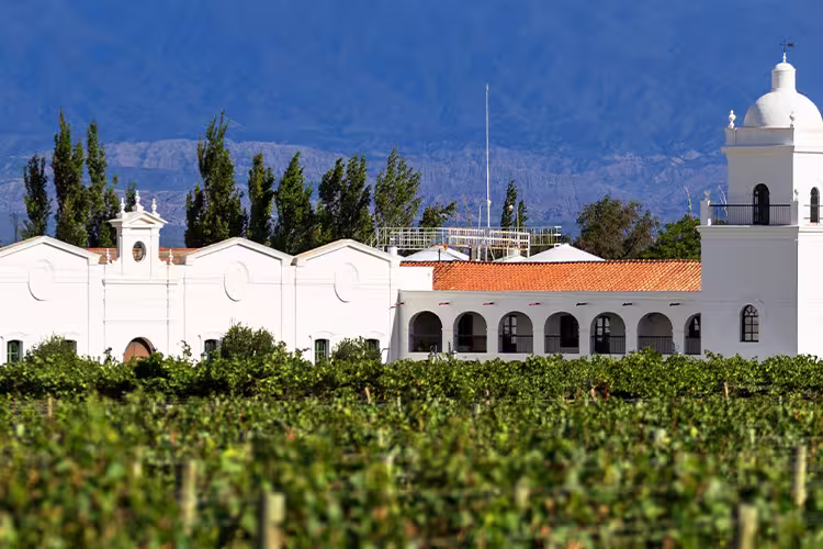GGPC - View of Mendoza vineyard and winery in Argentina