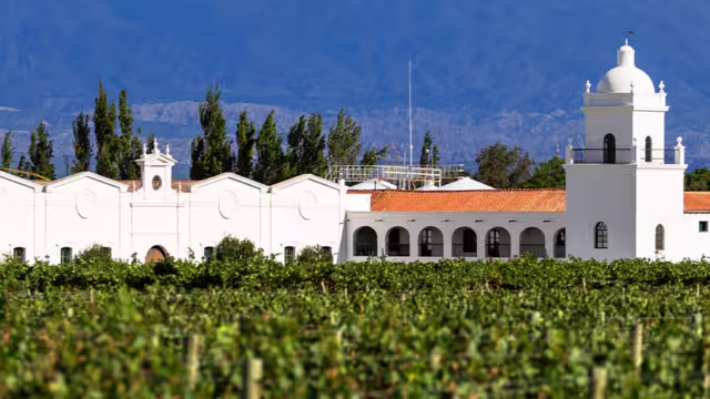 GGPC - View of Mendoza vineyard and winery in Argentina