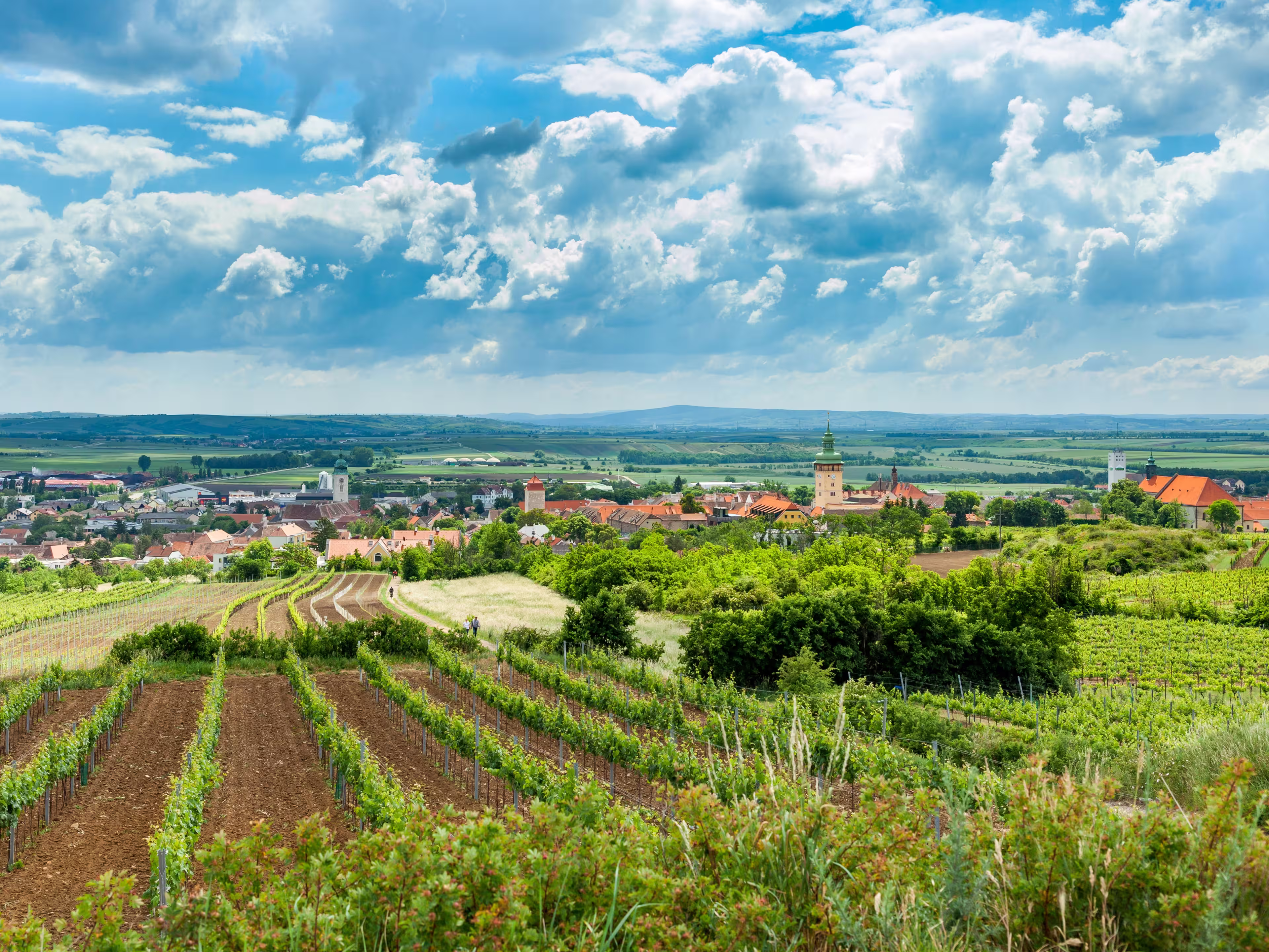City of Retz with the Retz town hall in the Weinviertel