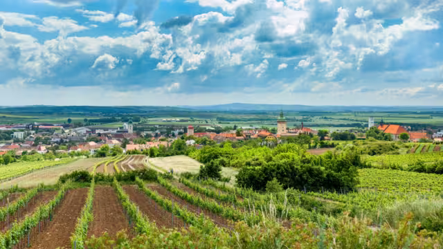 City of Retz with the Retz town hall in the Weinviertel
