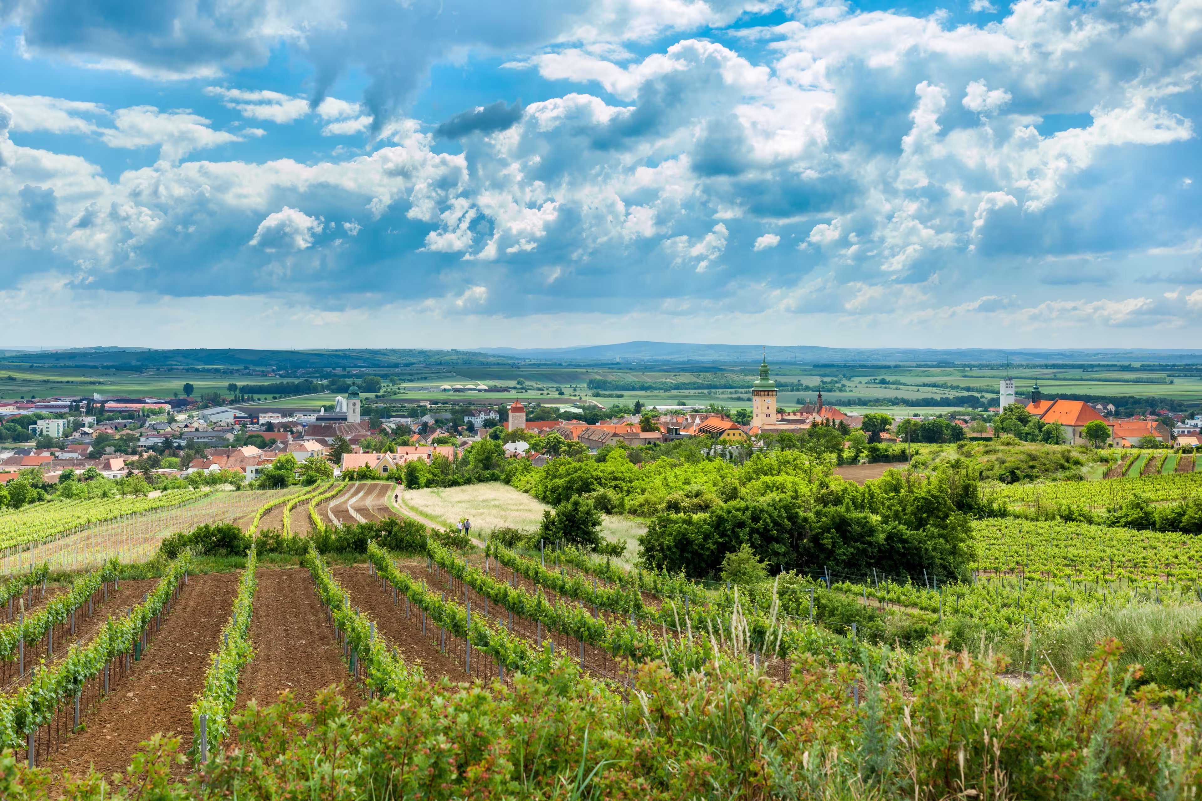 City of Retz with the Retz town hall in the Weinviertel