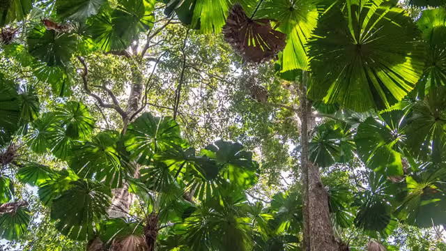 Go from Sydney to the Daintree with Intrepid