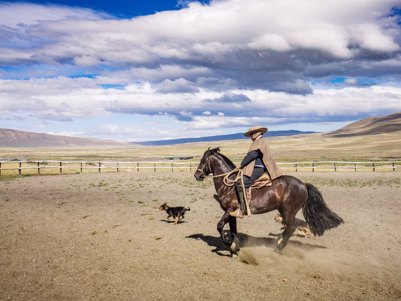 Gaucho Argentinien