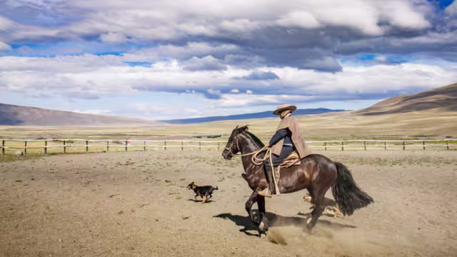 Gaucho Argentinien