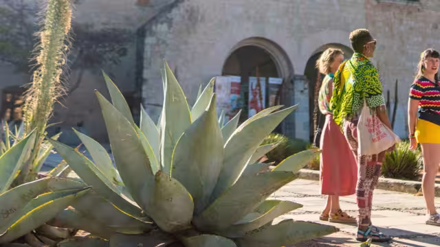 Group of travellers with their leader in Oaxaca city in Mexico