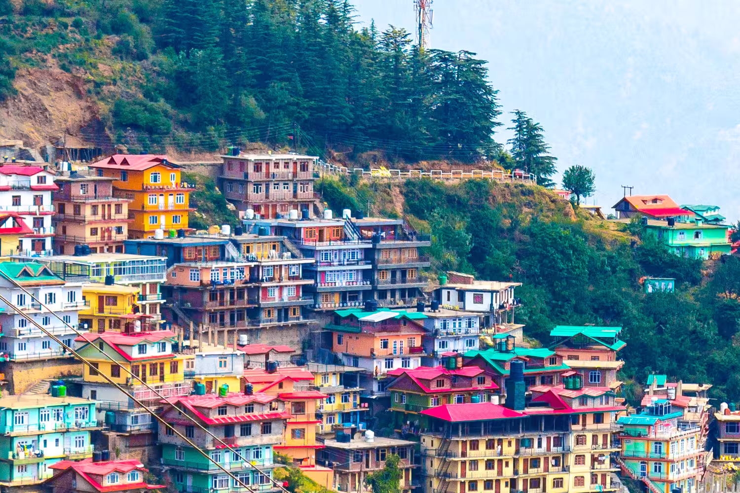 Shimla
